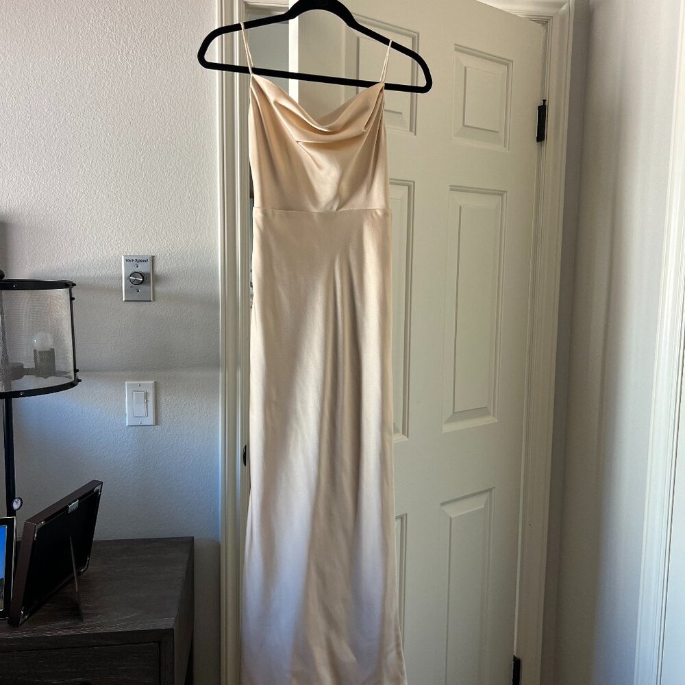 Fame and Partners Champagne Dress